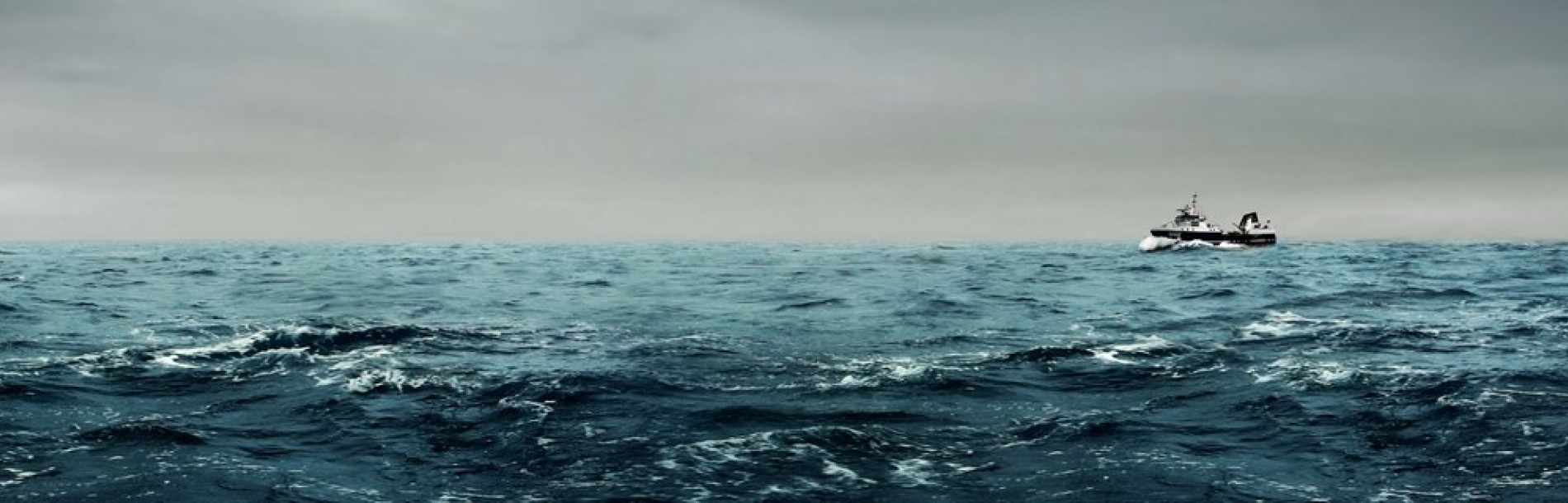 Sealord, NZ Sealord, NZ